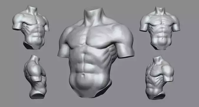 Torso 3D print model