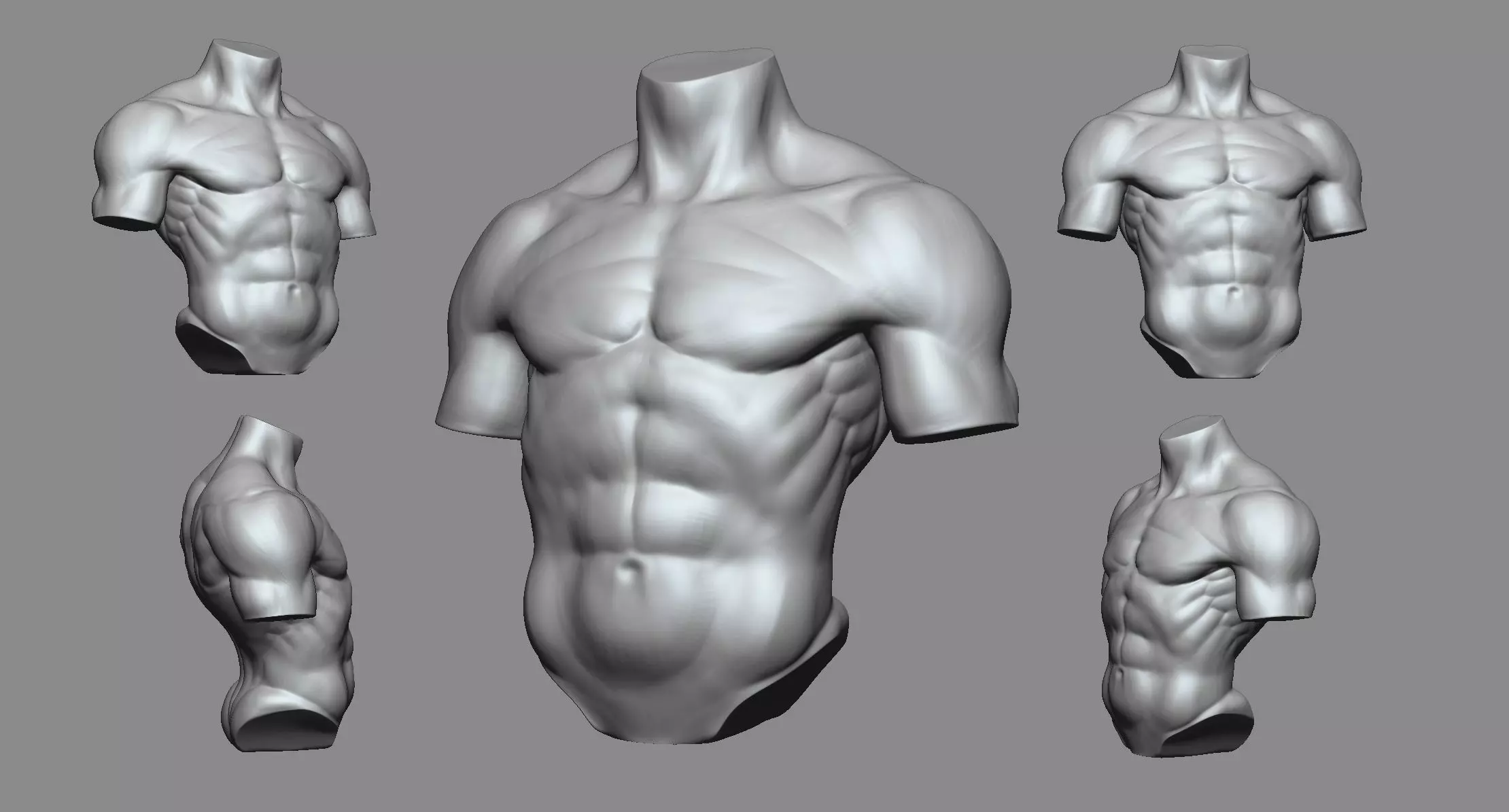 Torso 3D print model_0
