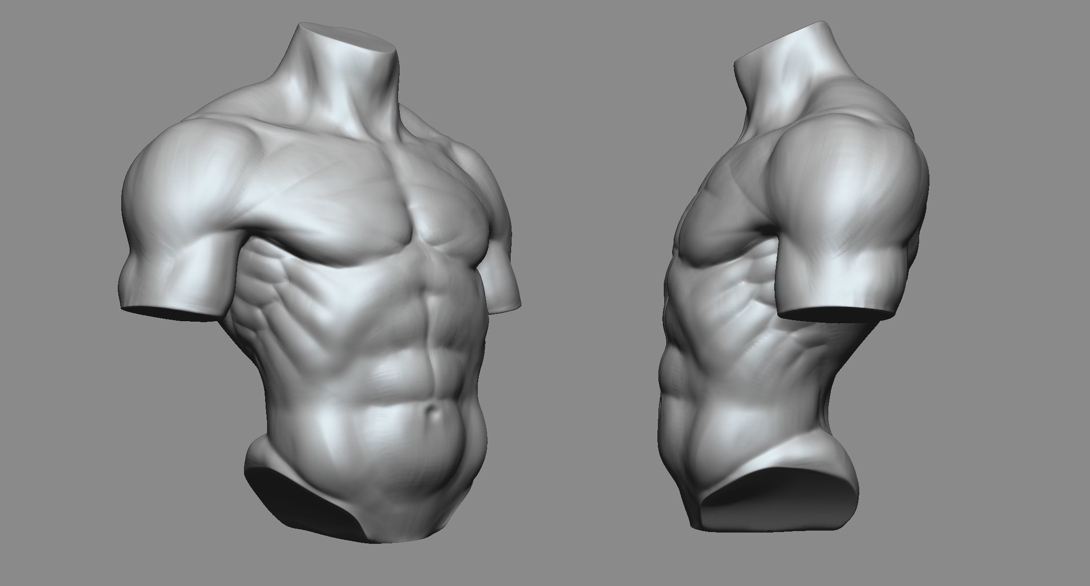 Torso 3D print model_2