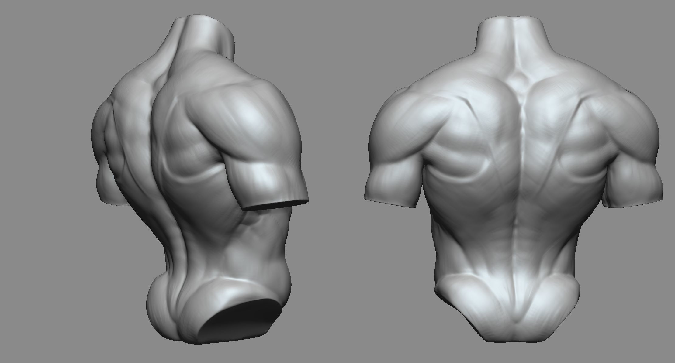 Torso 3D print model_3