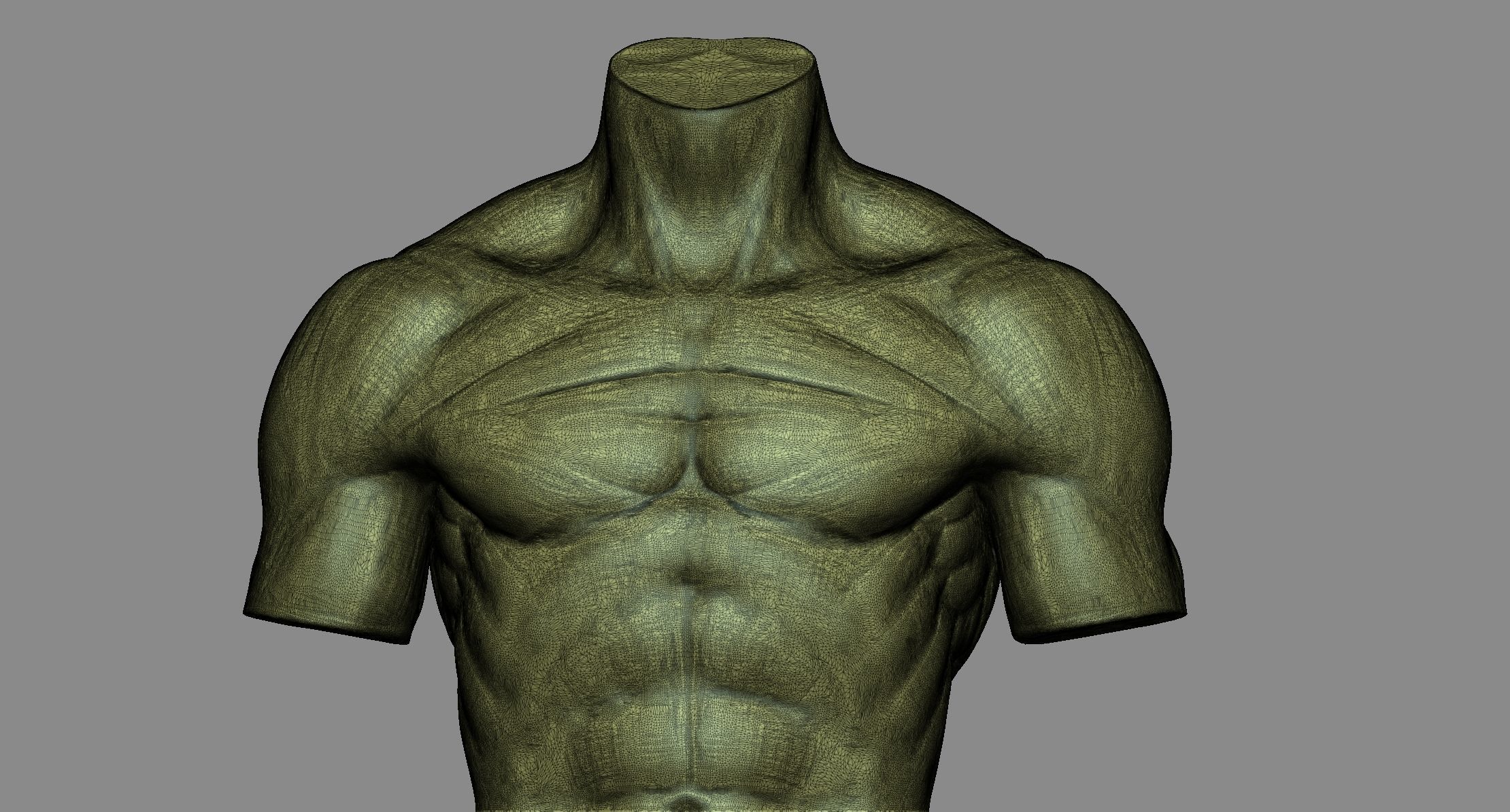 Torso 3D print model_5