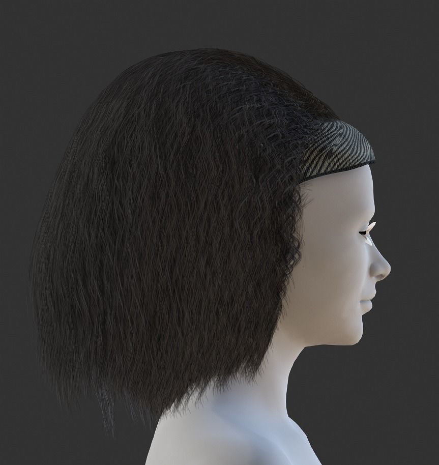 Apolcalyptic Hairstyle-Afro Hair Low-poly 3D model_2
