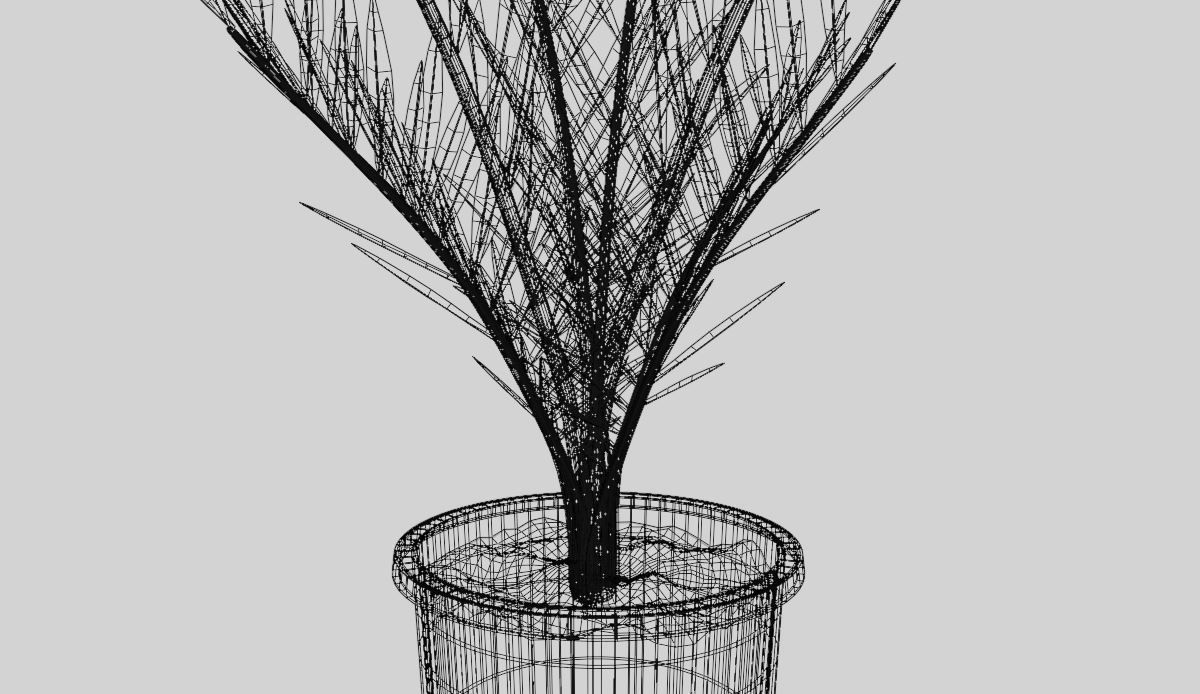 Date palm Tree 3D Model 3D model_4