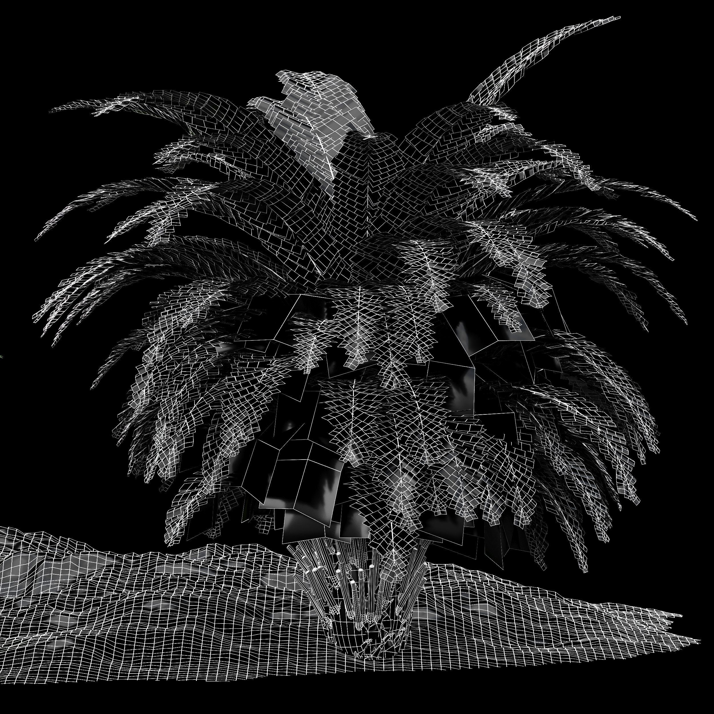 Forest lawn Iron Fern Plant 3D model_4