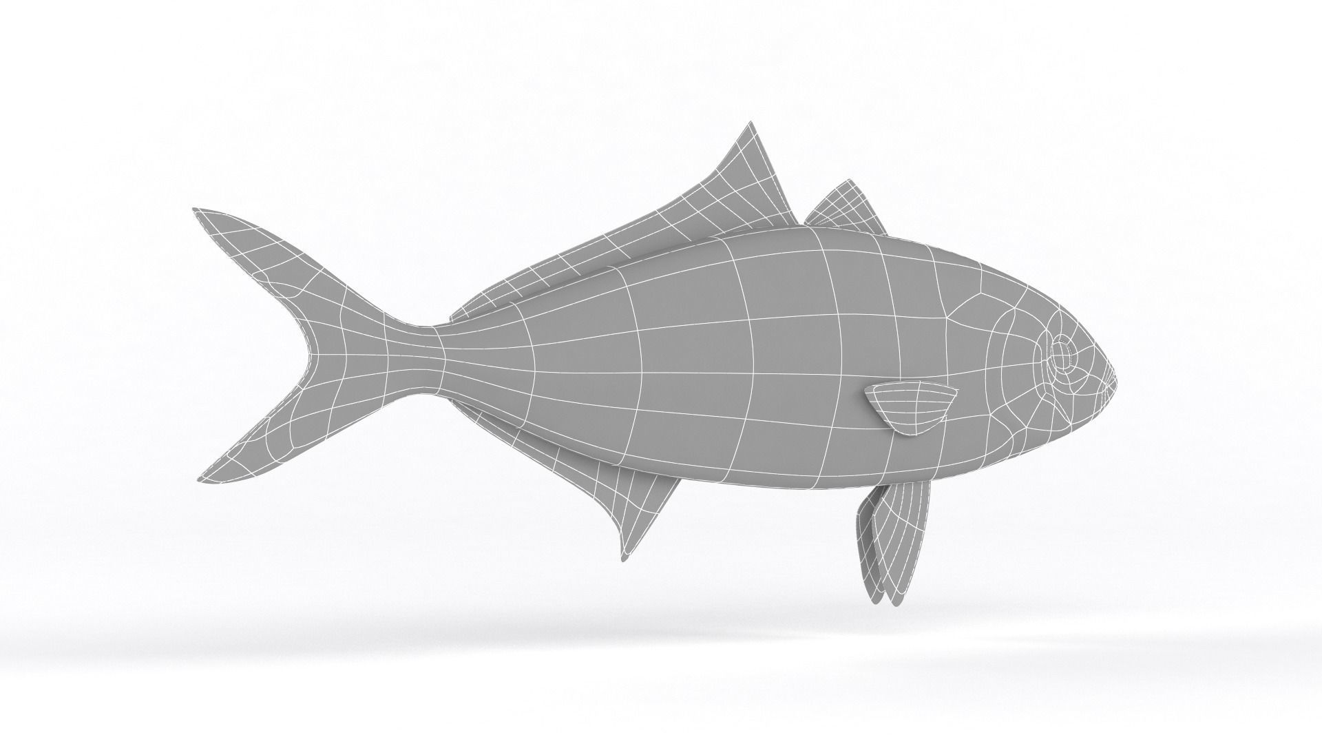 Trevally Fish 3D model_8