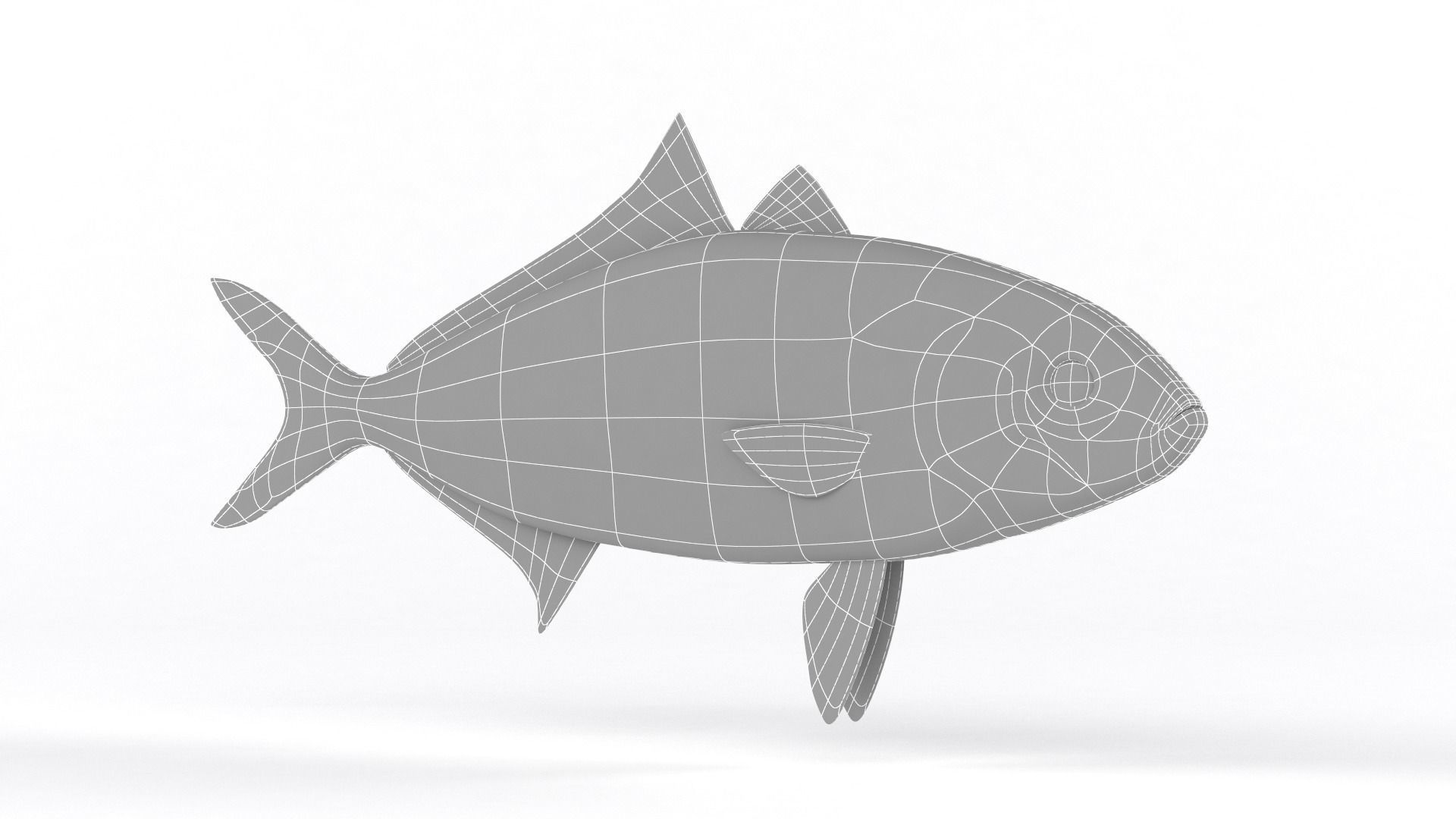 Trevally Fish 3D model_6