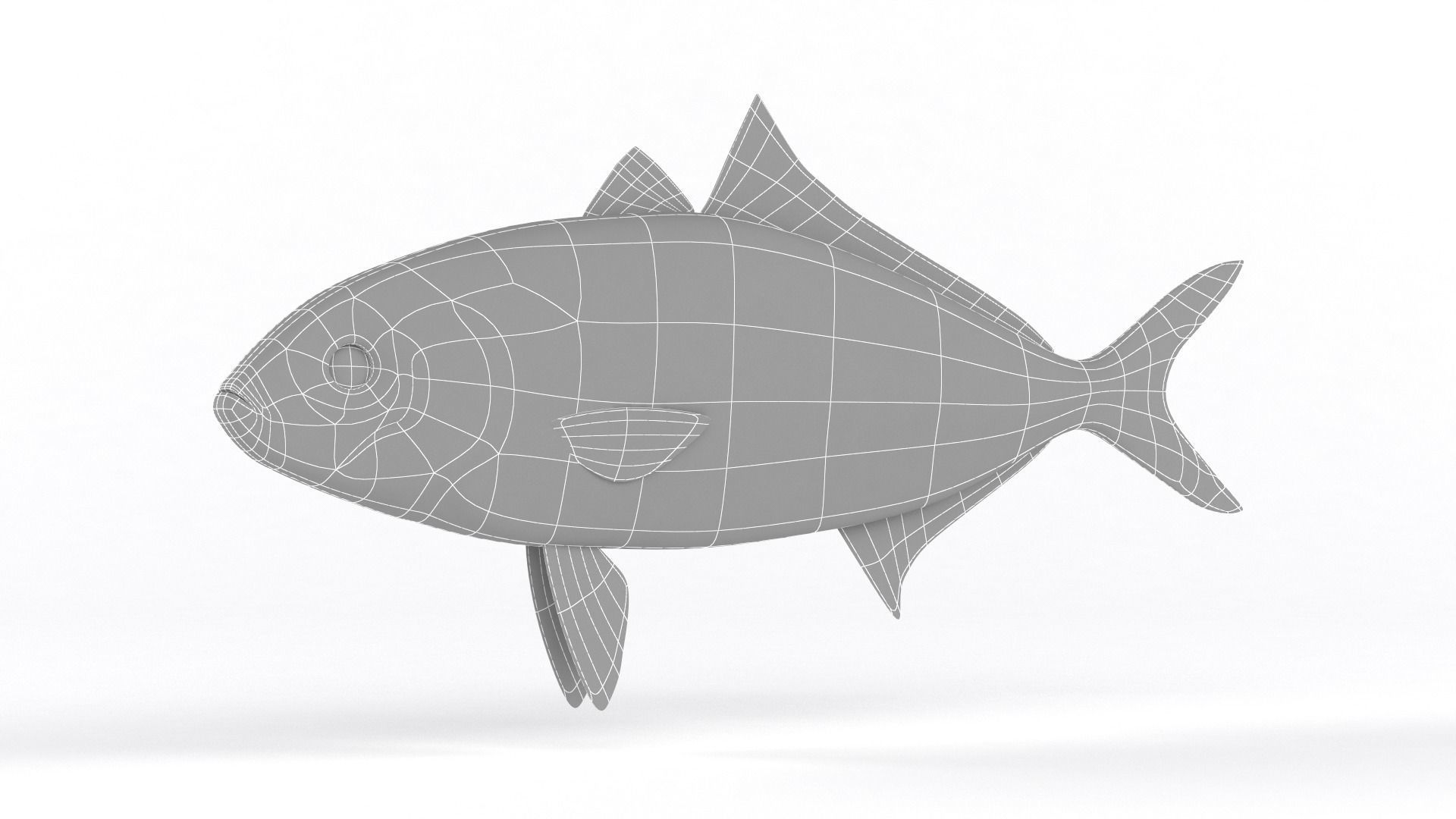Trevally Fish 3D model_9