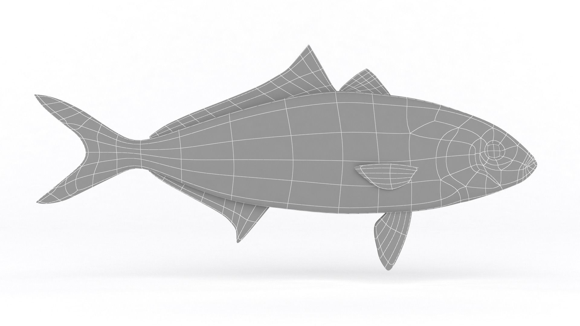 Trevally Fish 3D model_5