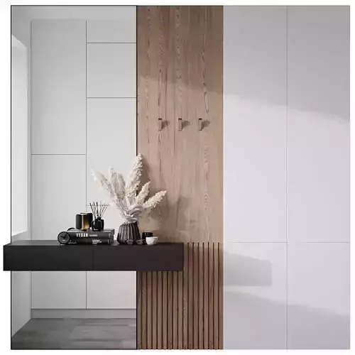 Hallway modern bathroom with walls and wooden panels