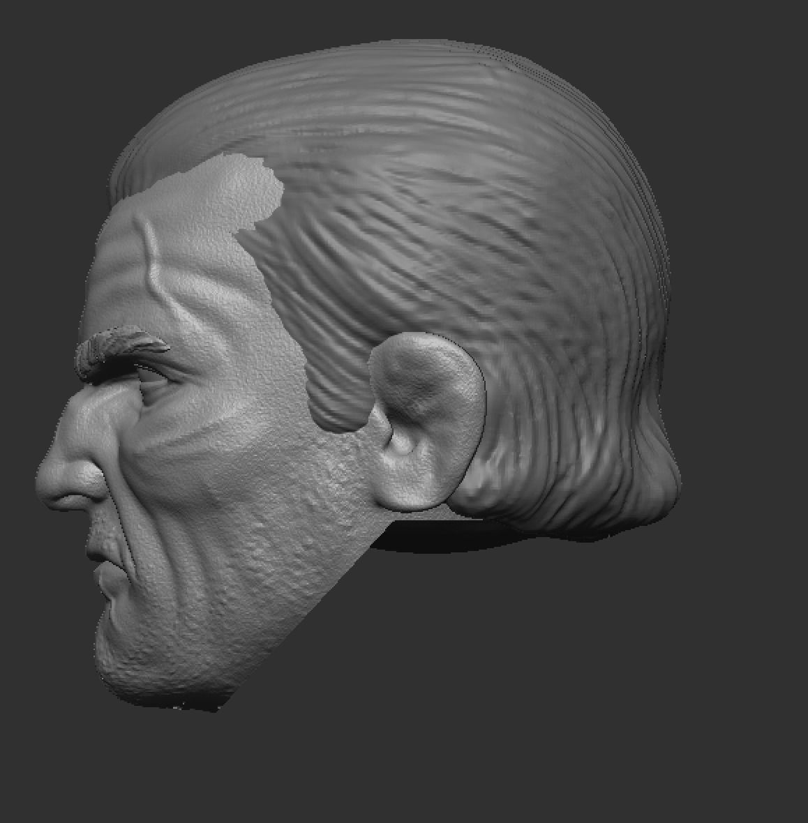Revenger Headsculpt Stoic and Angry 3D print model_1