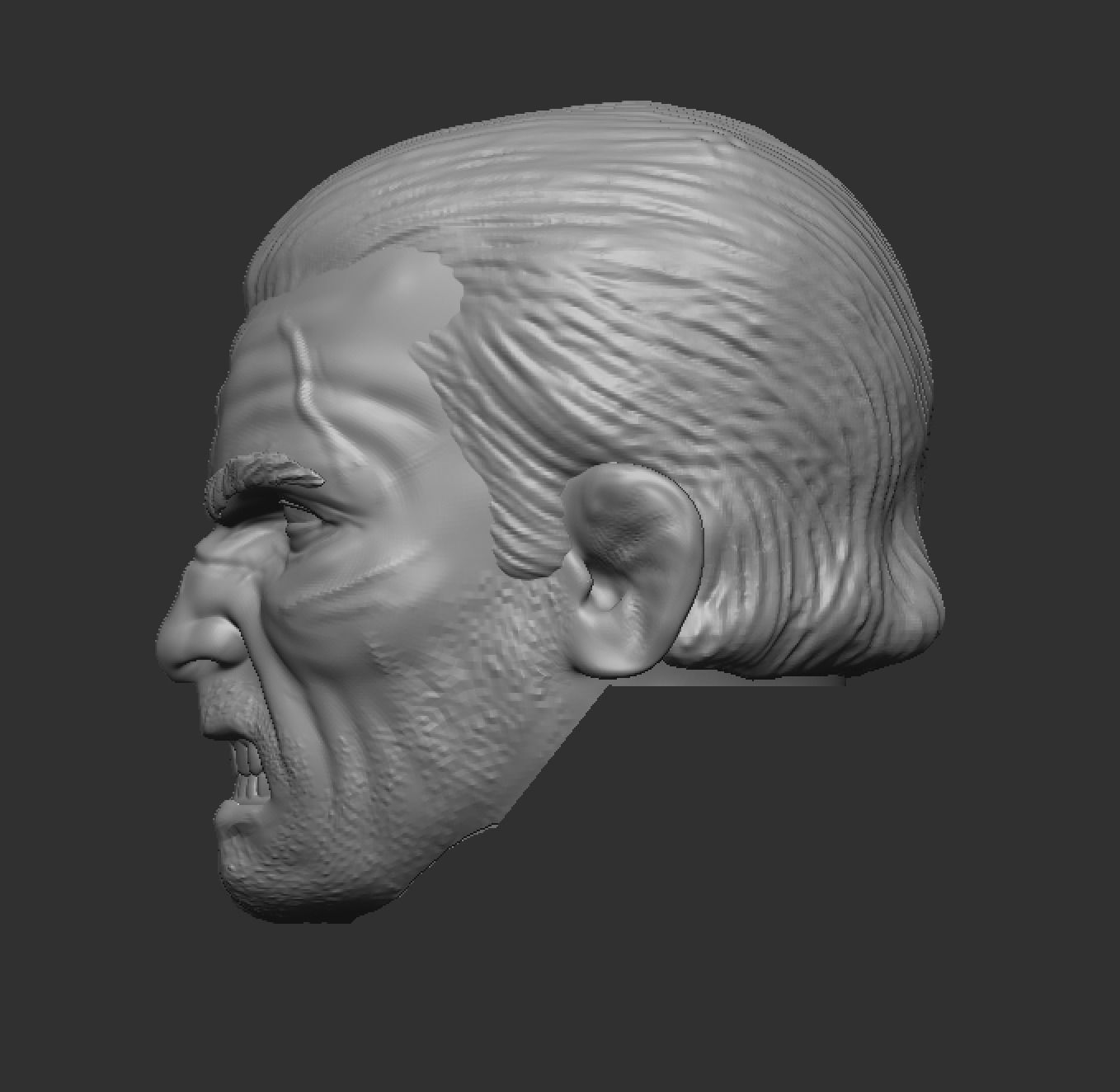 Revenger Headsculpt Stoic and Angry 3D print model_3