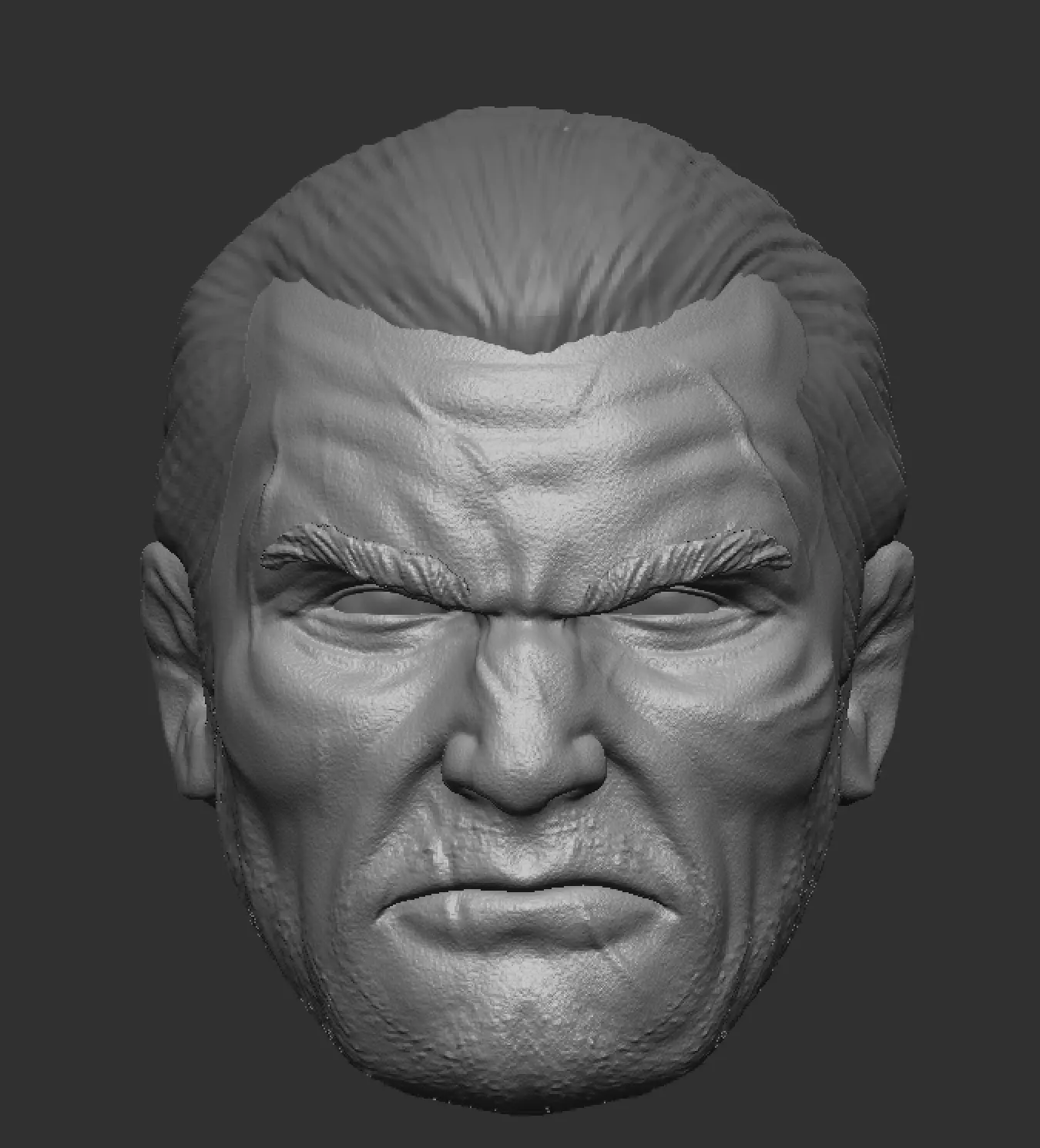 Revenger Headsculpt Stoic and Angry 3D print model_0