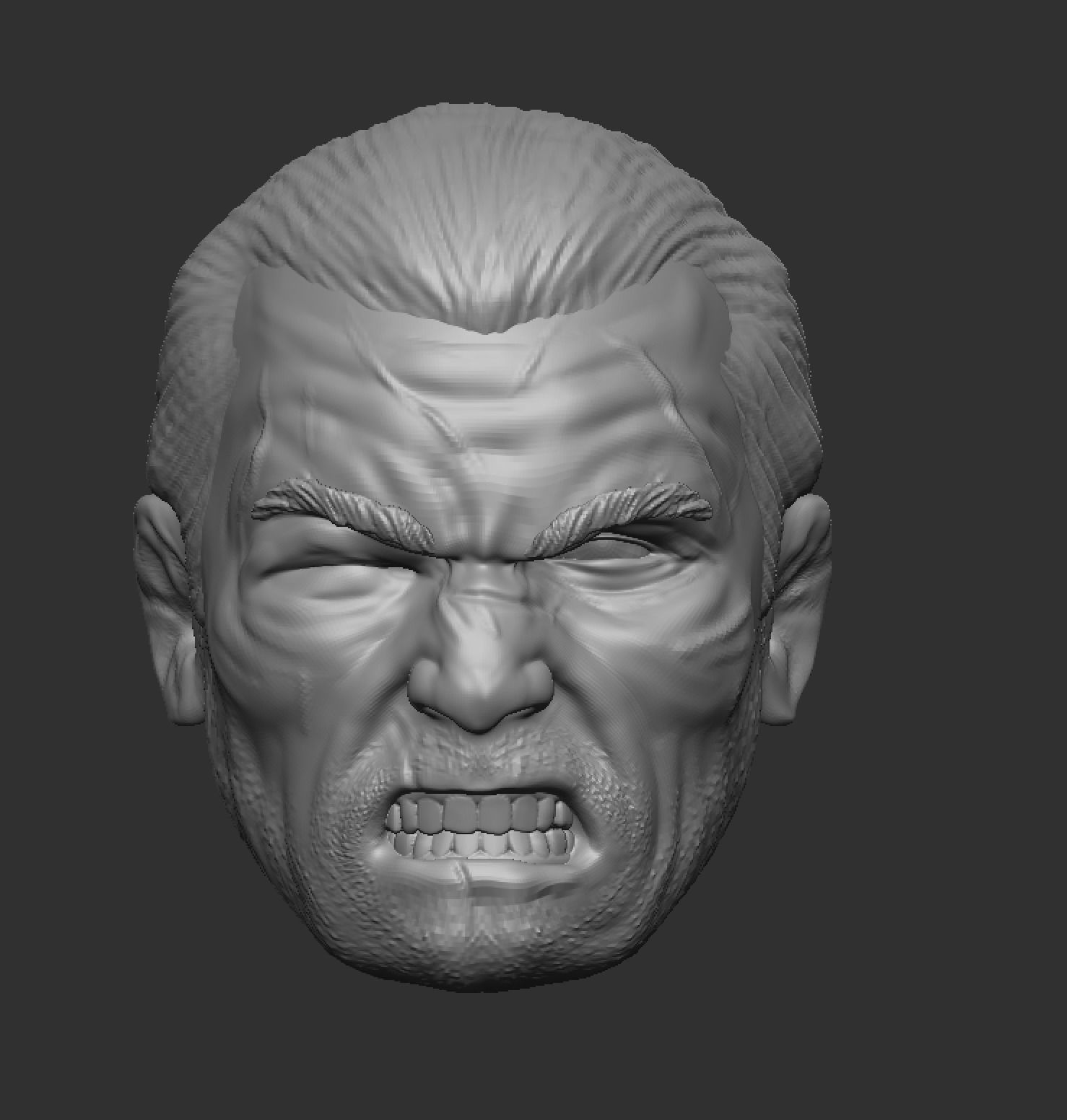 Revenger Headsculpt Stoic and Angry 3D print model_2