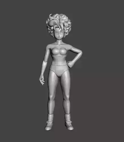 Ranfan bikini 3D Model