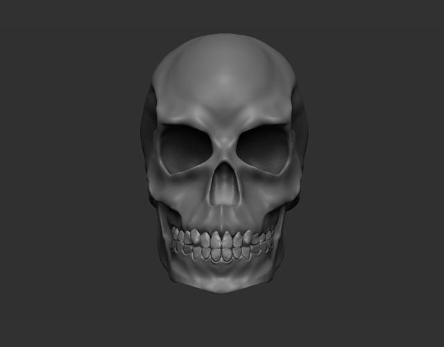 Scull with separate jaw  3D model