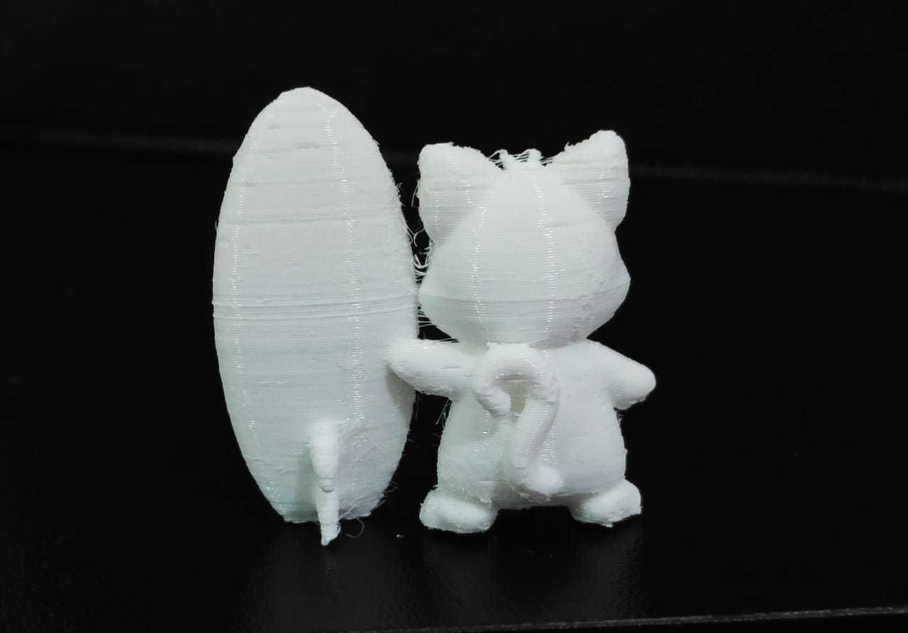 Cat Surf 3D print model_5