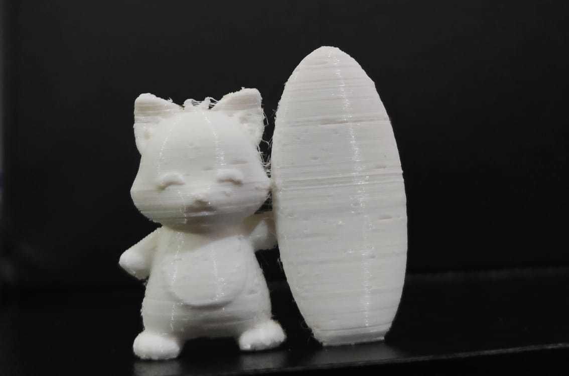 Cat Surf 3D print model_3