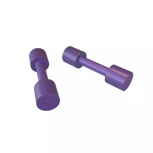 DumbBell v3 004