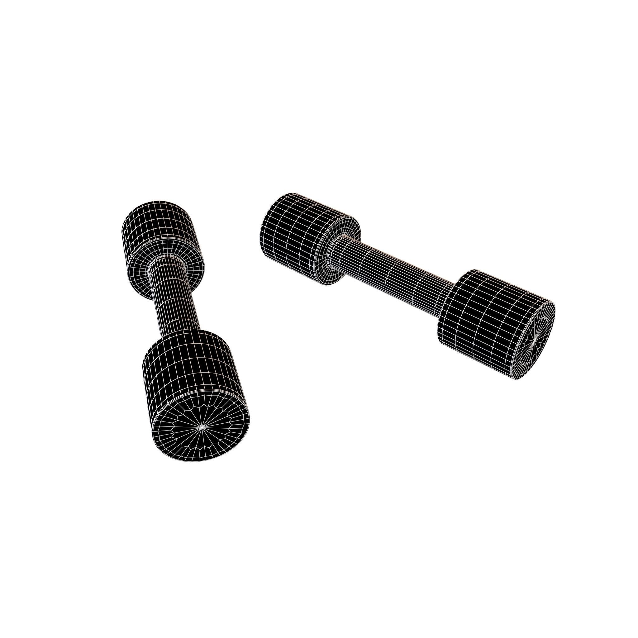 DumbBell v3 008 Low-poly 3D model_5