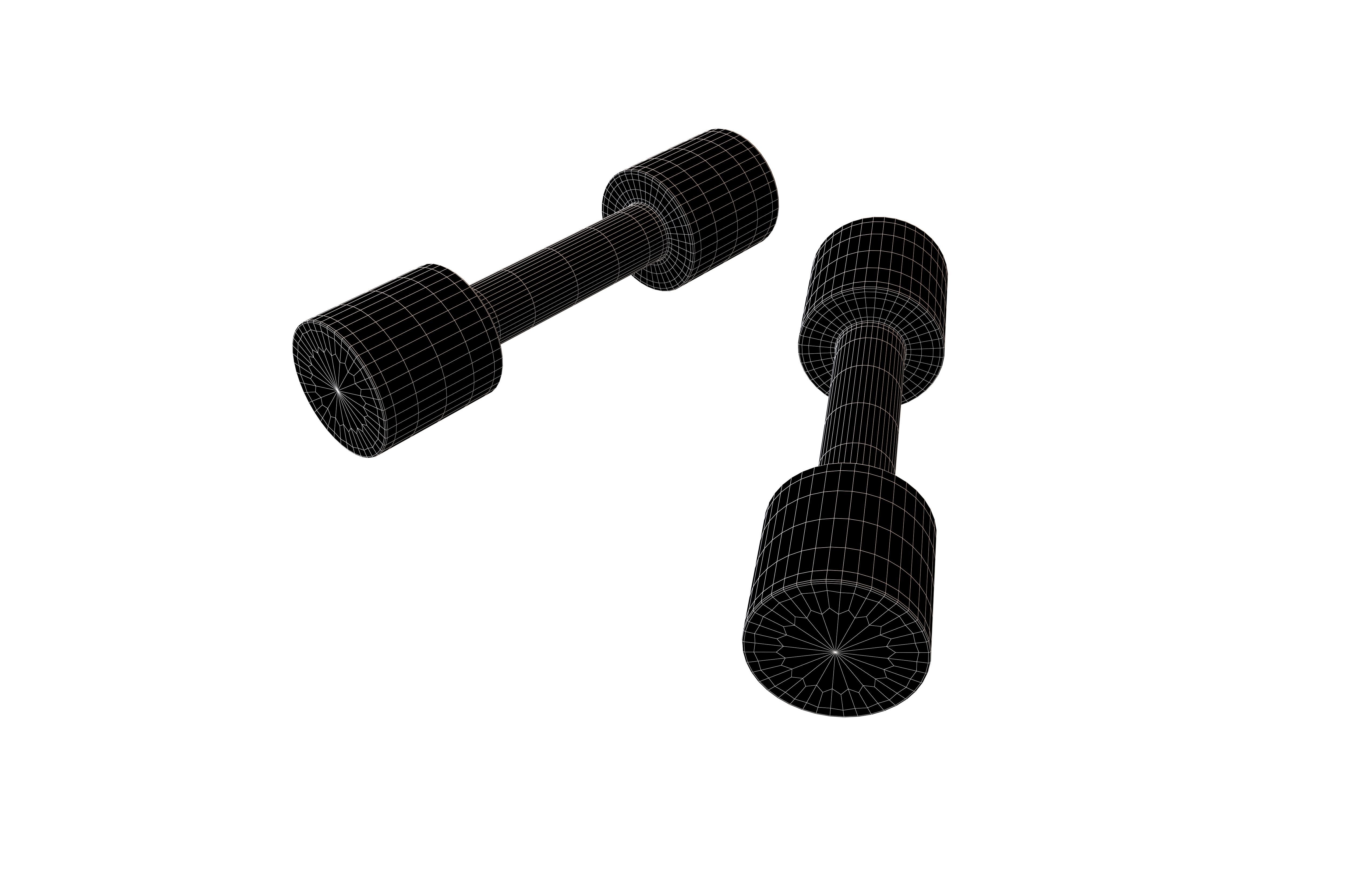 DumbBell v3 010 Low-poly 3D model_6