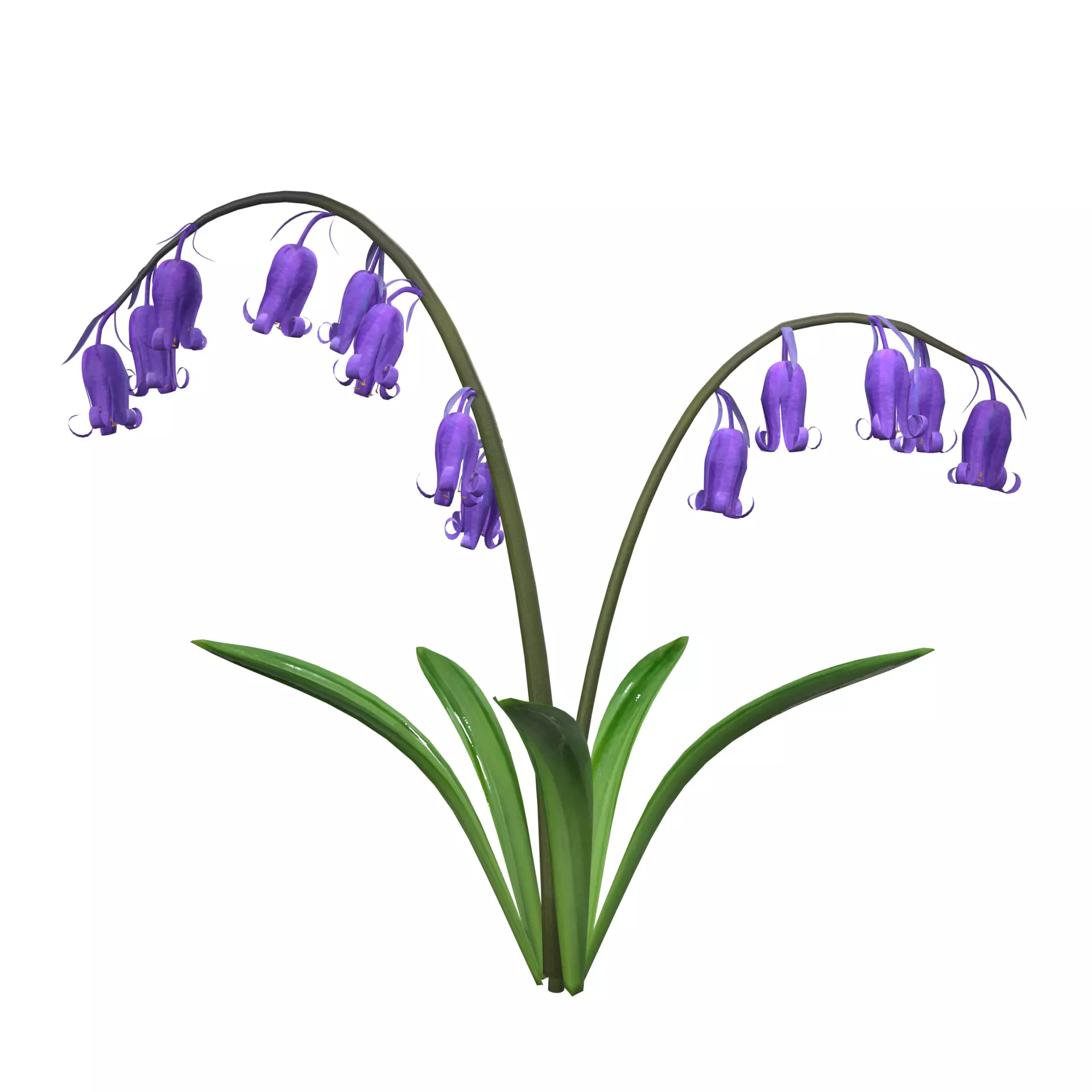 Blue Bell flower 3D model
