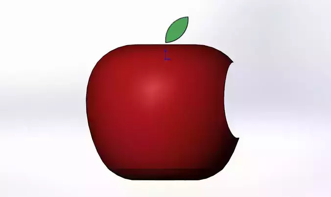 apple with leaf