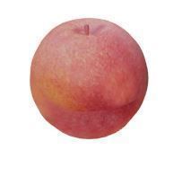 Fruit Collection apple Low-poly 3D model_10