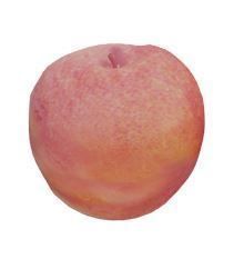 Fruit Collection apple Low-poly 3D model_11