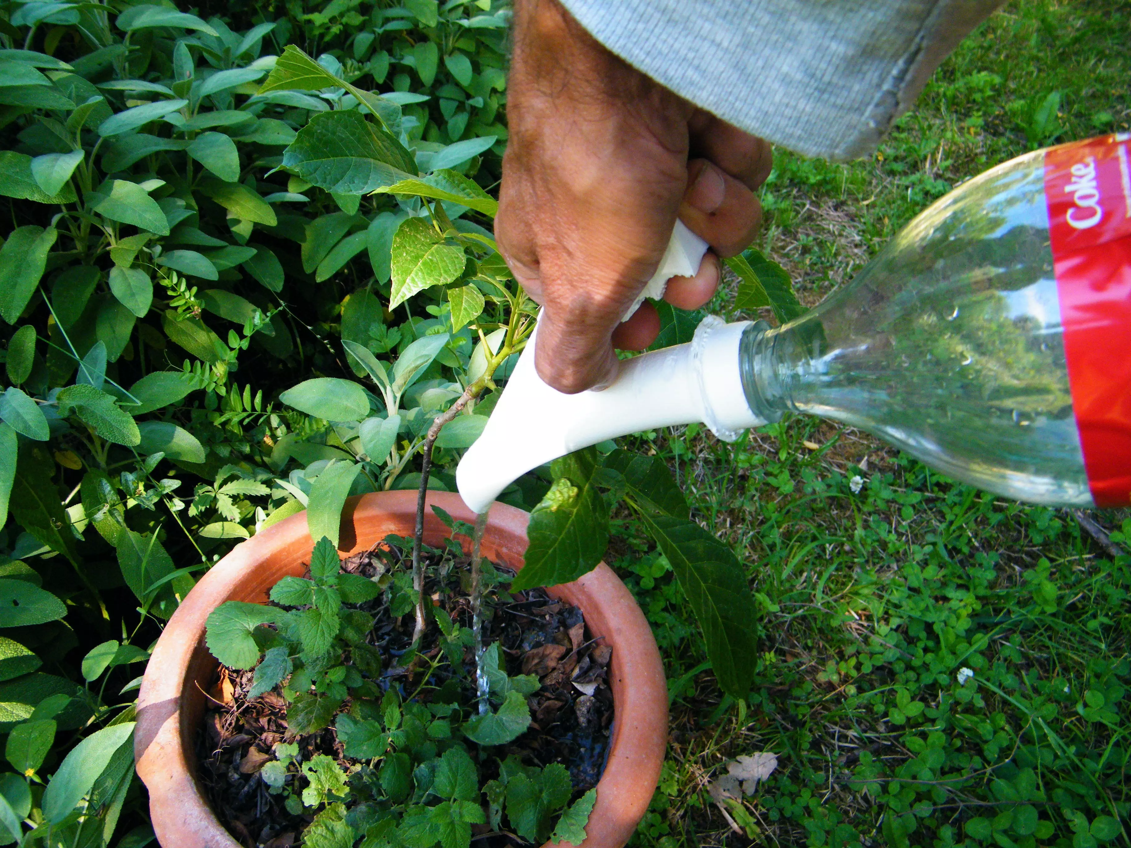 BOTTLE SPRINKLER 3D print model_0