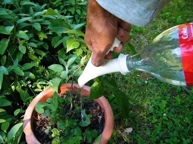 BOTTLE SPRINKLER 3D print model
