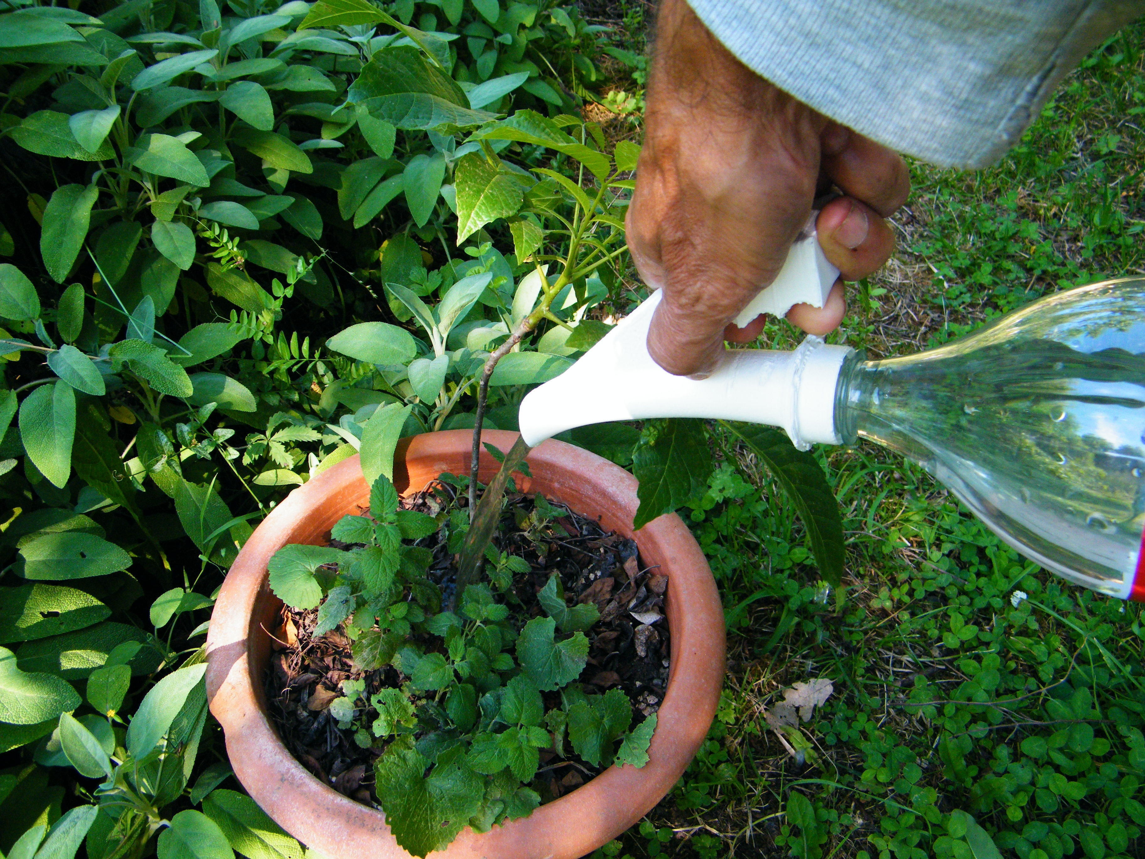 BOTTLE SPRINKLER 3D print model_1