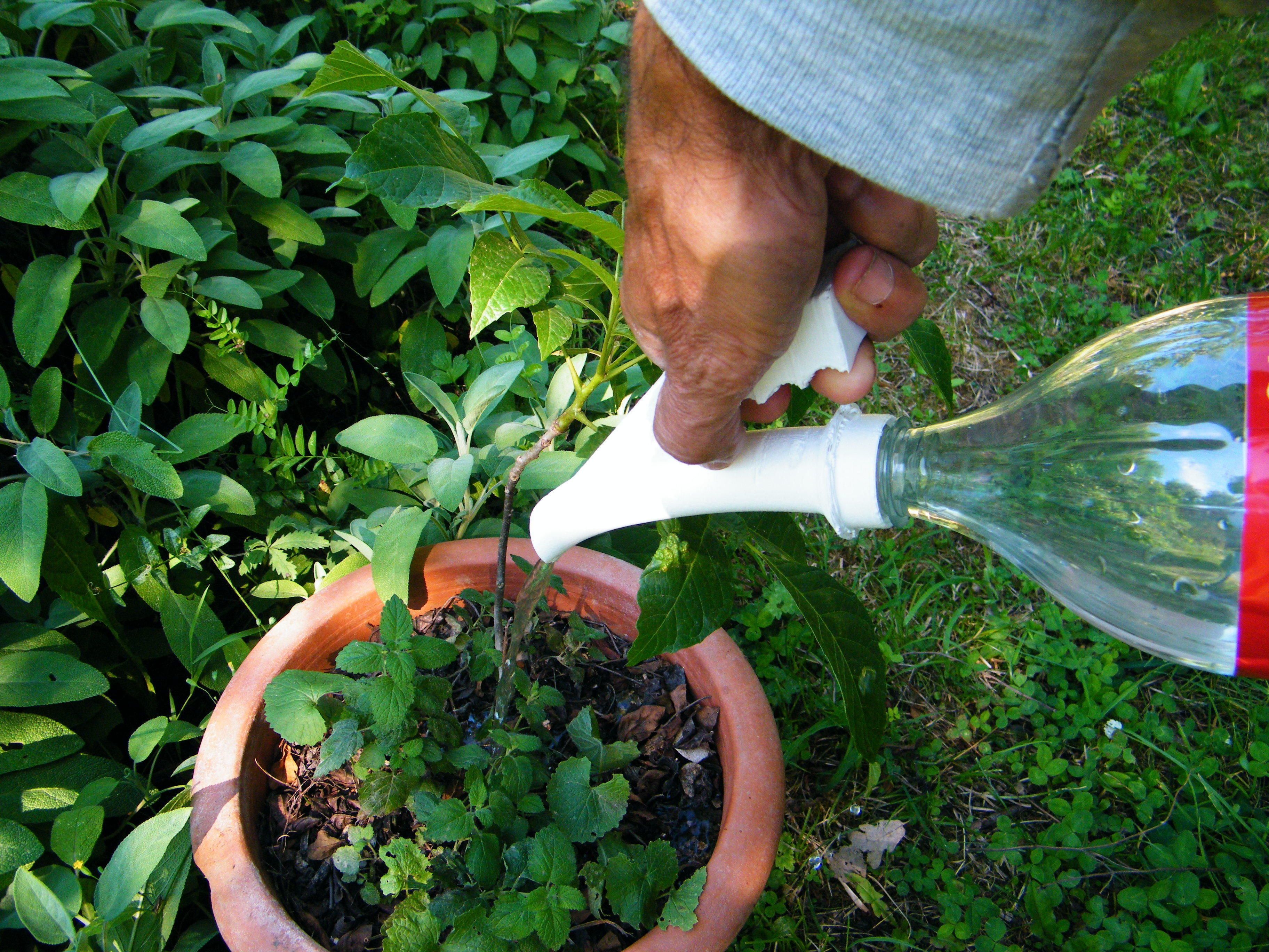 BOTTLE SPRINKLER 3D print model_3