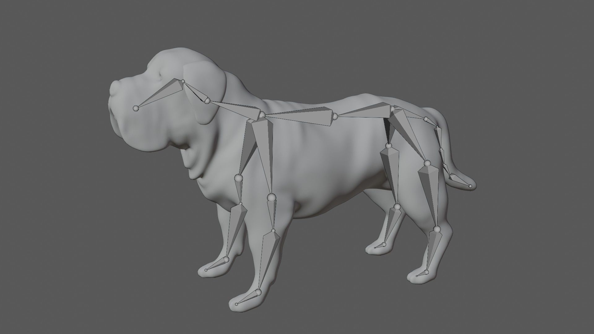 Mastiff dog Low-poly 3D model_7
