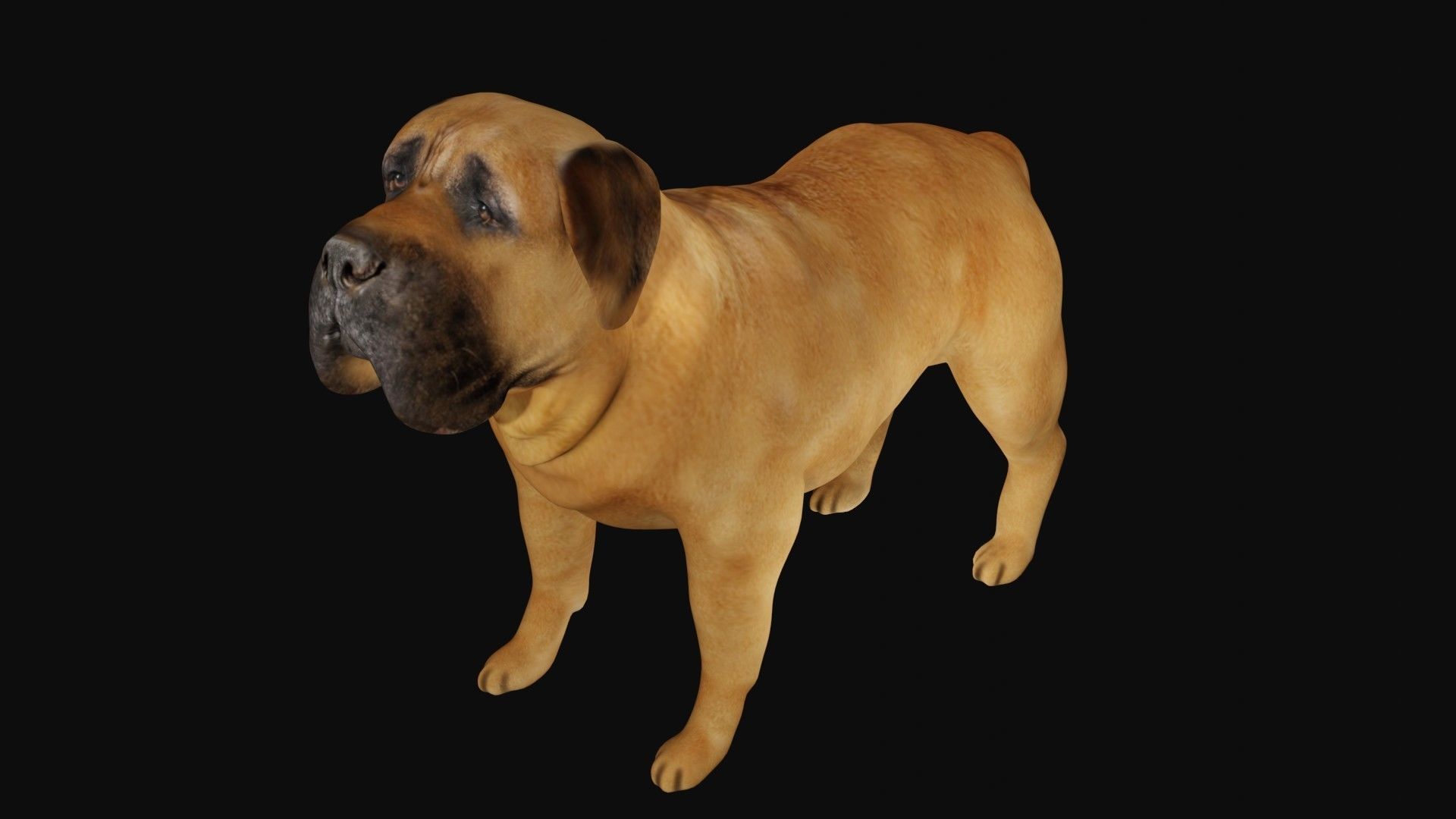 Mastiff dog Low-poly 3D model_2