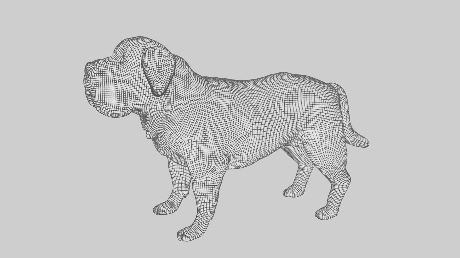 Mastiff dog Low-poly 3D model_8