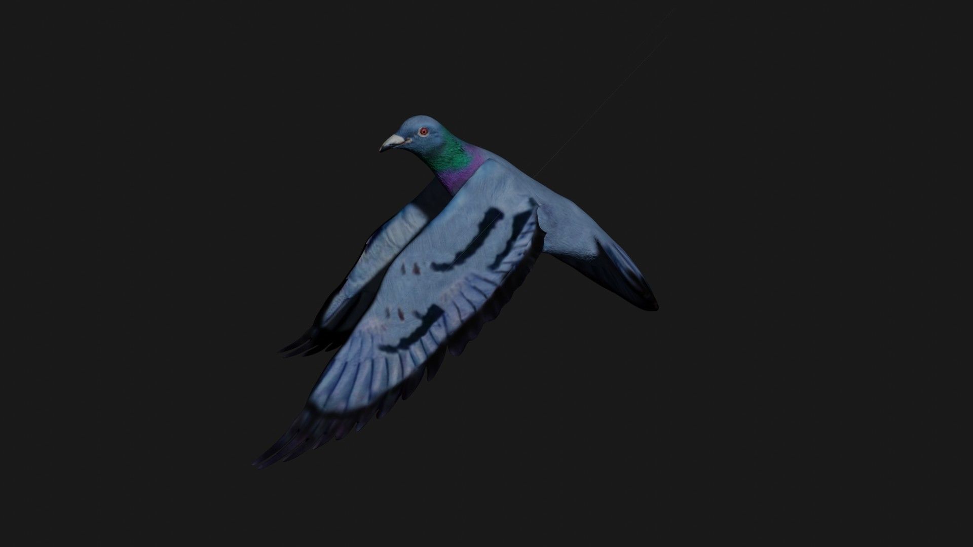Pigeon in flight Low-poly 3D model_5