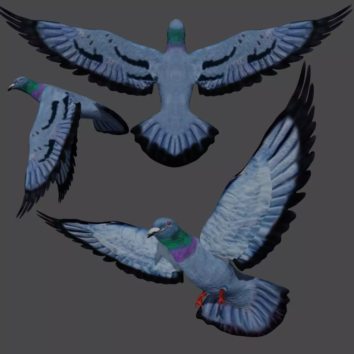 Pigeon in flight Low-poly 3D model_0