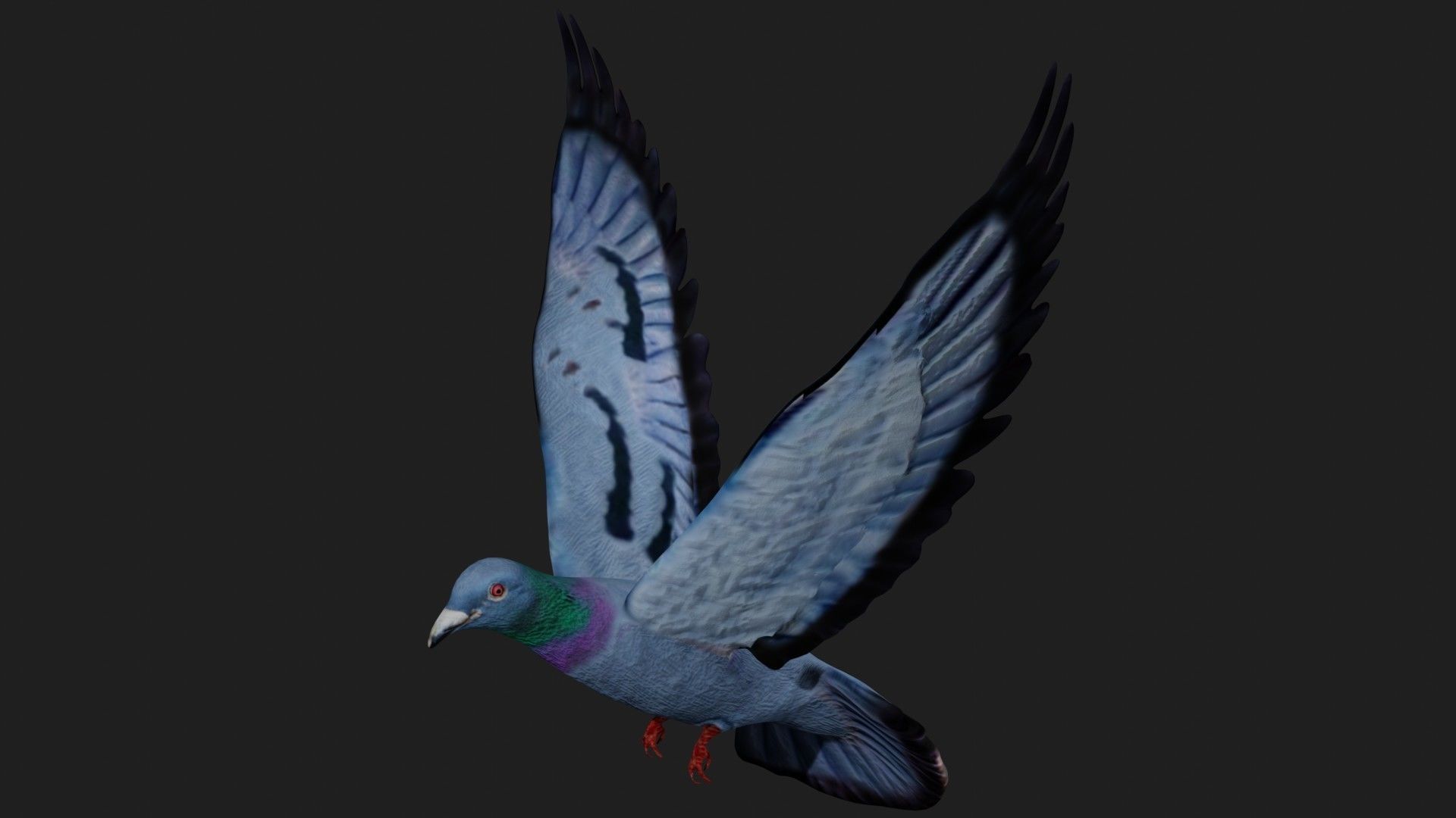 Pigeon in flight Low-poly 3D model_1