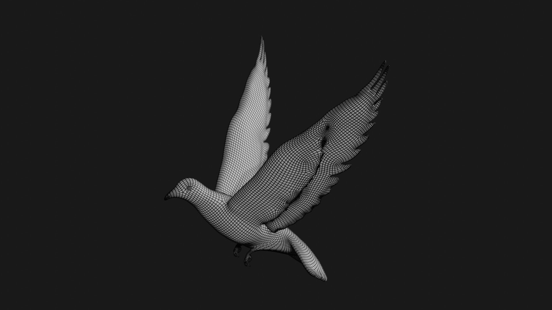 Pigeon in flight Low-poly 3D model_8