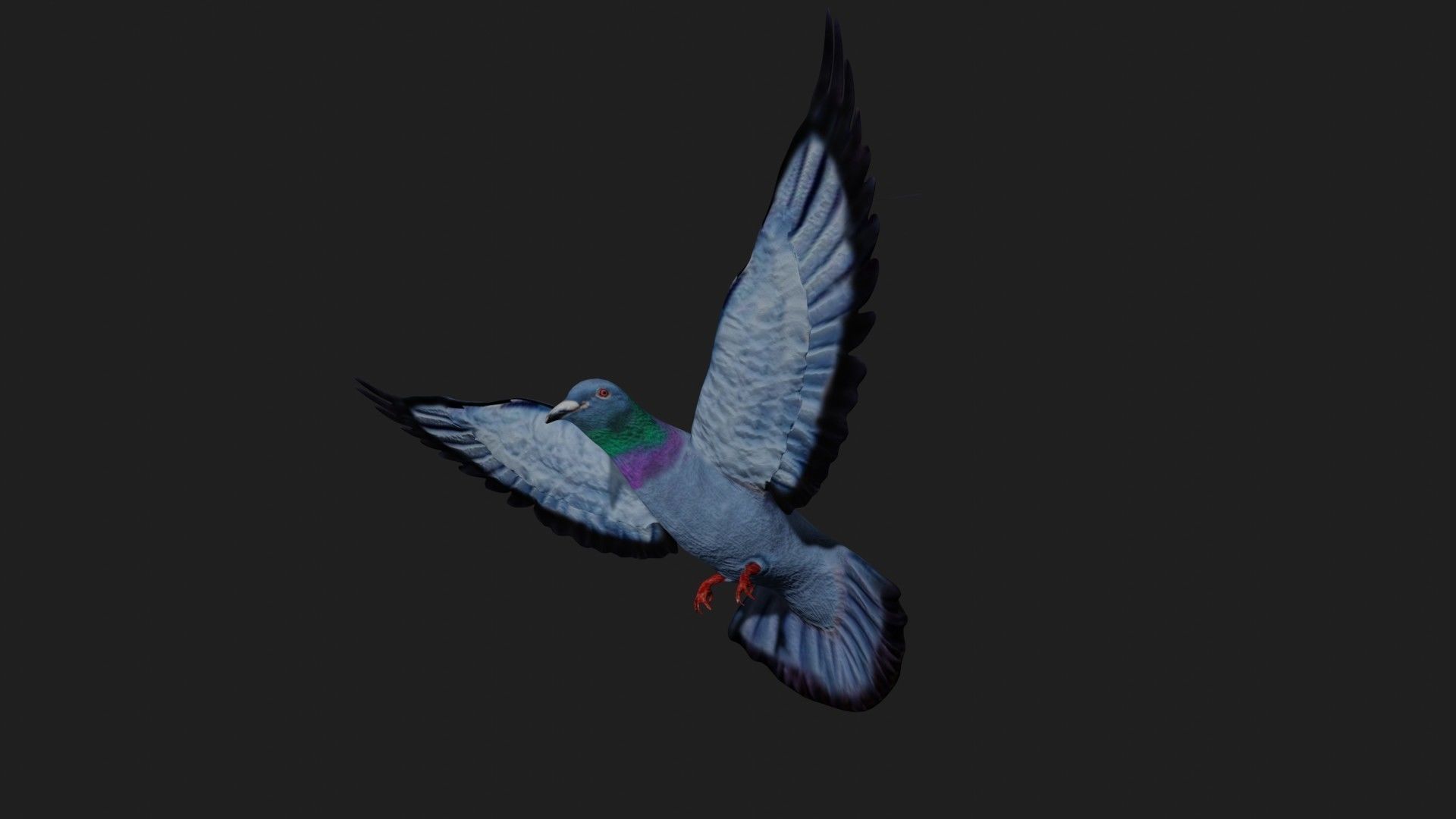 Pigeon in flight Low-poly 3D model_2