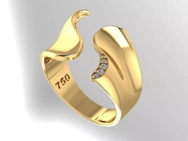 ring fashion 3D print model_0