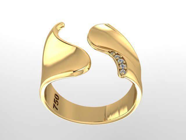 ring fashion 3D print model_2