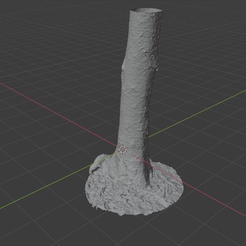 Tree Photoscan 3D model_9