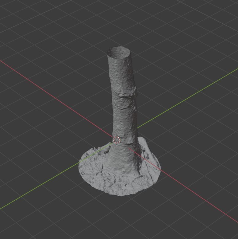 Tree Photoscan 3D model_12