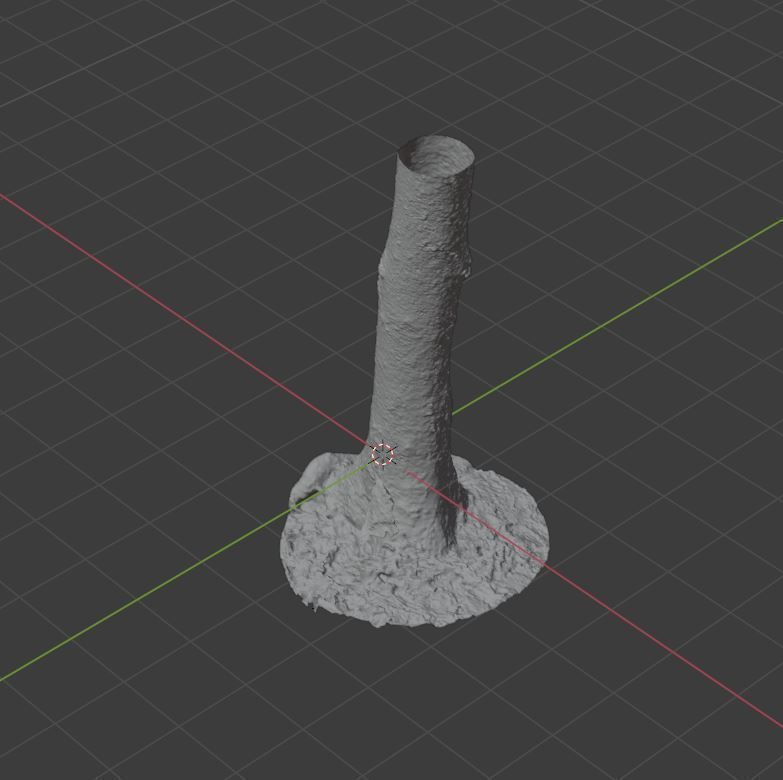 Tree Photoscan 3D model_13