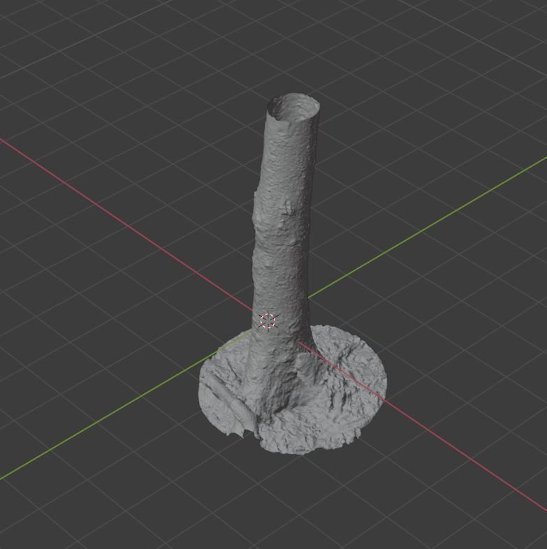 Tree Photoscan 3D model_14