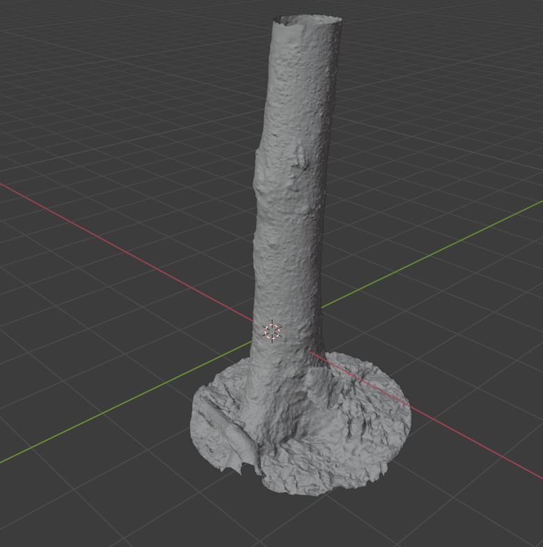 Tree Photoscan 3D model_10