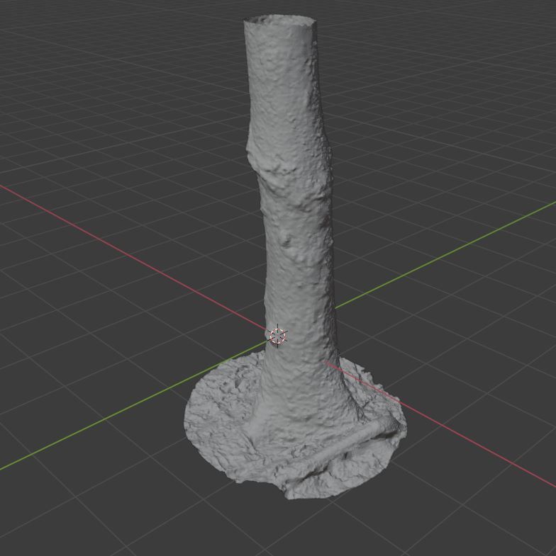 Tree Photoscan 3D model_11