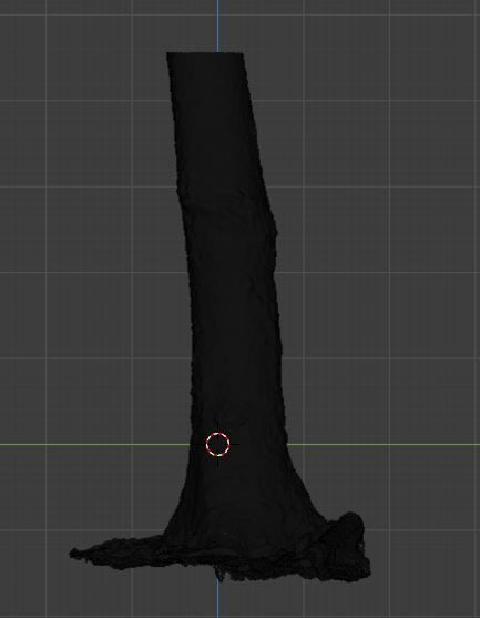 Tree Photoscan 3D model_18