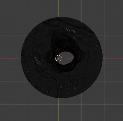 Tree Photoscan 3D model_19